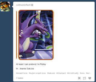 Illustration for article titled Why Super Smash Bros Players Are So Obsessed With Ridley